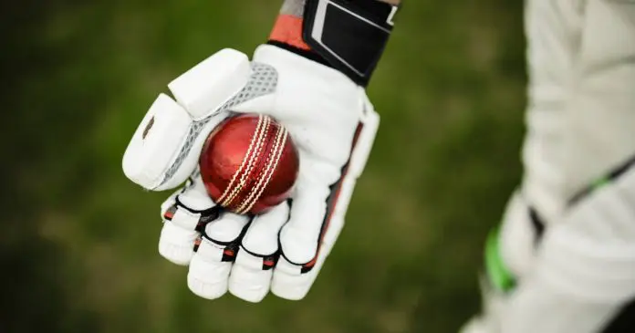 cricket batting gloves - KreedOn